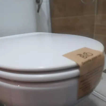 Eco-manolita