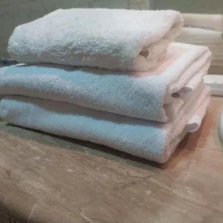 Eco-manolita * Elche