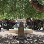 Eco-manolita * אלצ'ה