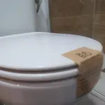 Eco-manolita