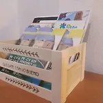 Eco-manolita